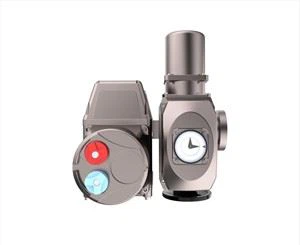 Van điều chế cơ giới cho Bernard