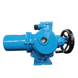 Electric Valve Actuator
