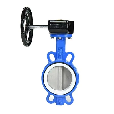 Van bướm lót Fluorine wafer tuabin