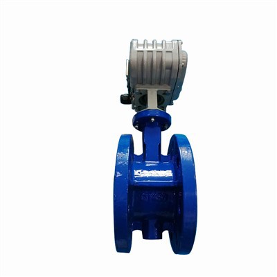 Van bướm cao su sắt dễ uốn điện